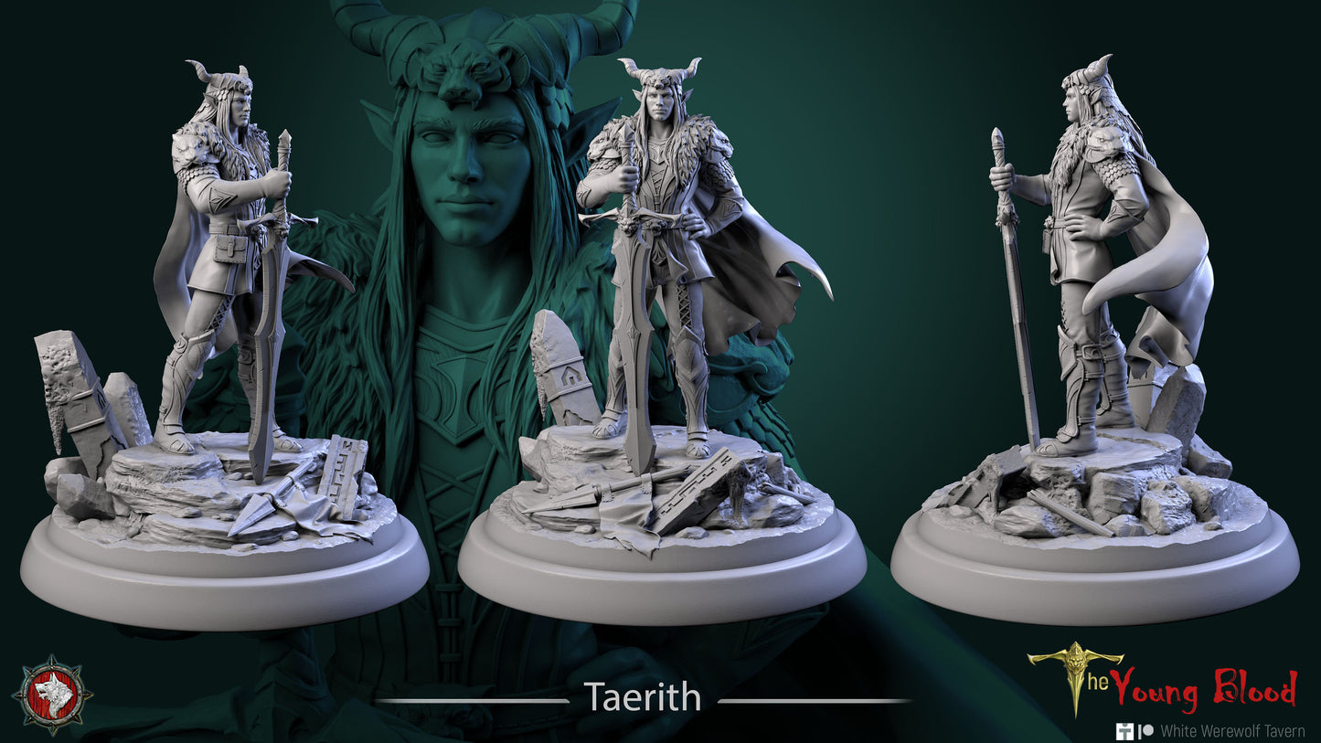 Figurine Taerith de chez WW Tavern dans l’univers The Young Blood [25mm//75mm//Buste]