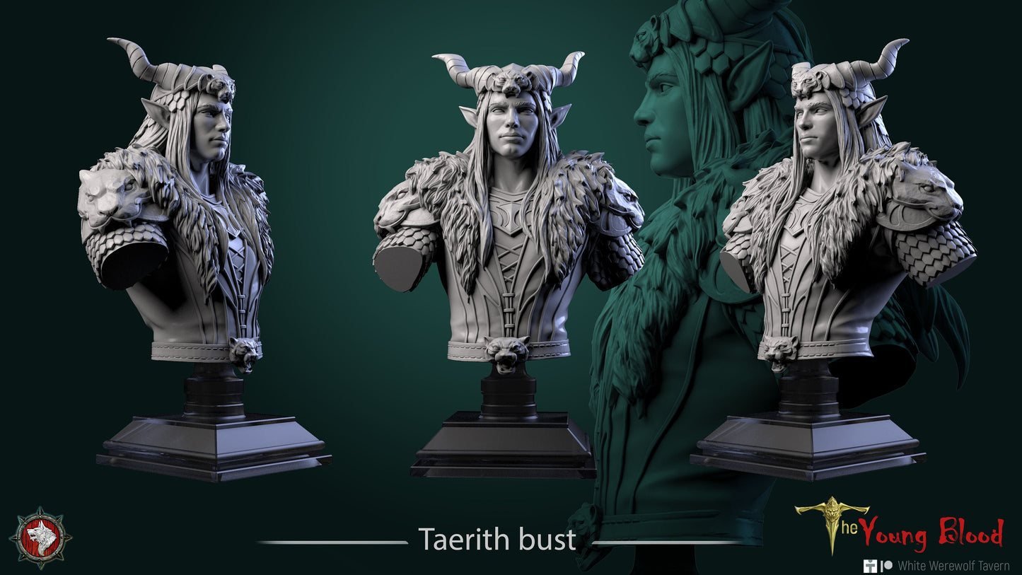 Figurine Taerith de chez WW Tavern dans l’univers The Young Blood [25mm//75mm//Buste]
