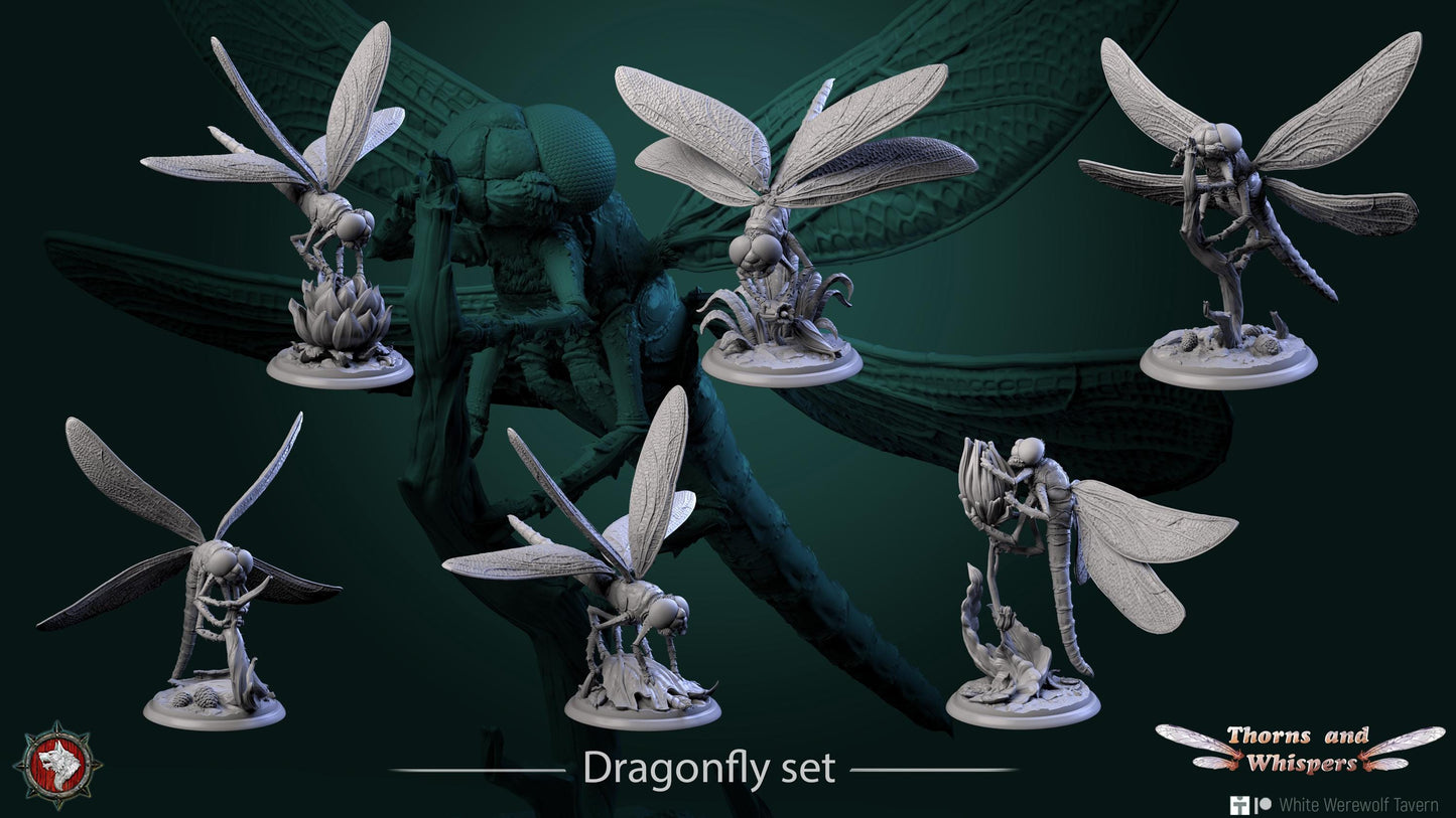 Figurine Dragonfly de chez WW Tavern dans l'univers Thorns and Whispers [50mm]
